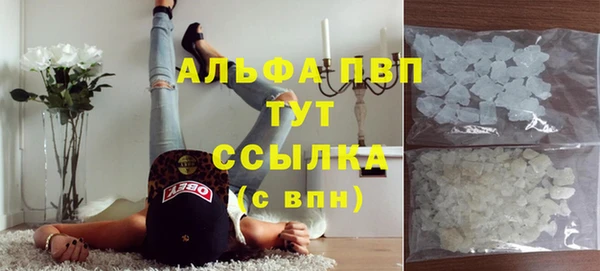ПСИЛОЦИБИНОВЫЕ ГРИБЫ Заводоуковск