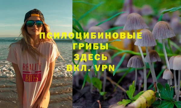 ПСИЛОЦИБИНОВЫЕ ГРИБЫ Заводоуковск