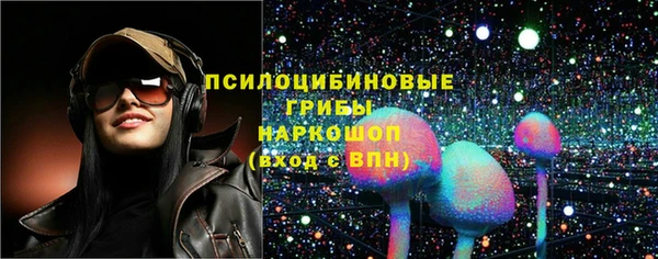 ПСИЛОЦИБИНОВЫЕ ГРИБЫ Заводоуковск
