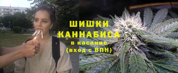 ПСИЛОЦИБИНОВЫЕ ГРИБЫ Заводоуковск