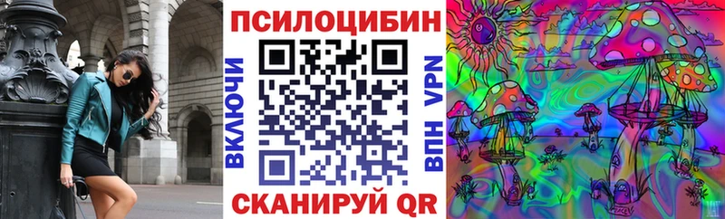 Купить  Дмитриев  Псилоцибиновые грибы Psilocybe 