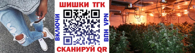Купить закладки  Дмитриев  Конопля Amnesia 